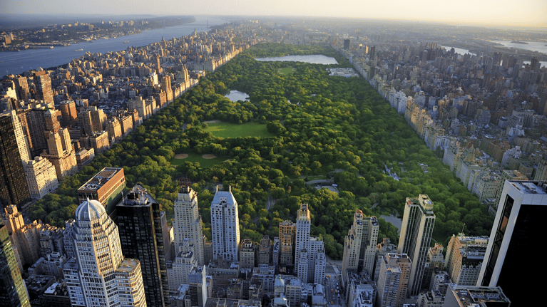 Aerial view of Central Park
